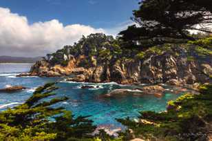 Point Lobos-3409.jpg